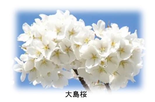 ソフィ&reg;センターイン