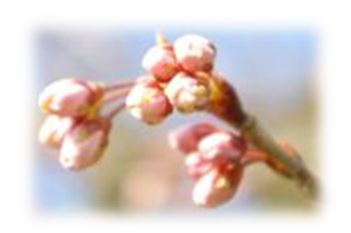 香りのこだわり