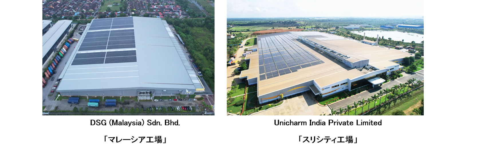 ソフィ&reg;Kiyora