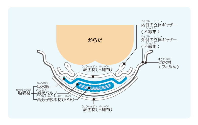 図解：紙おむつの構造