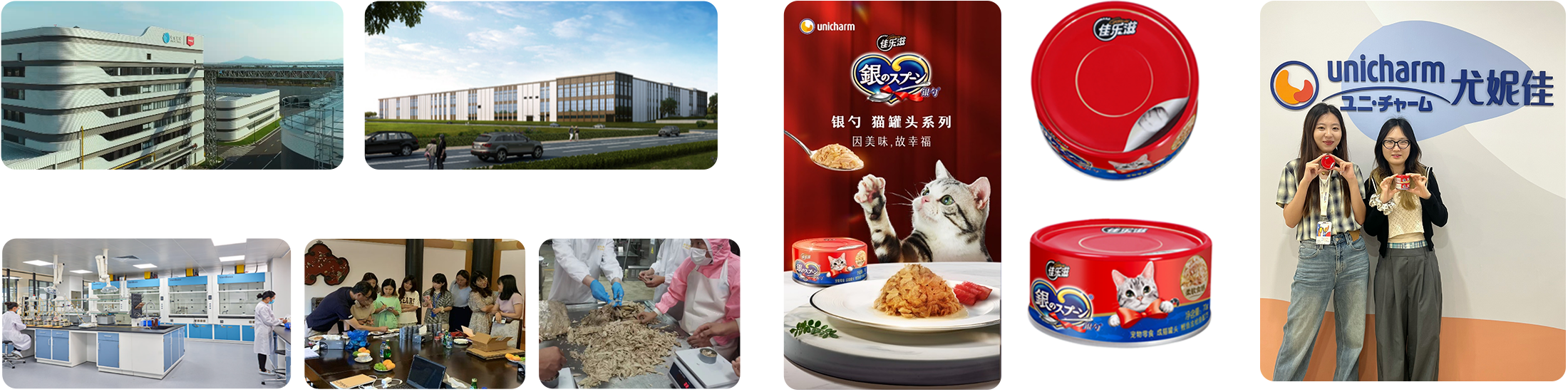 中国現地生産 生産工場 研究開発center 現地見学 原料マグロ手作り加工プロセス