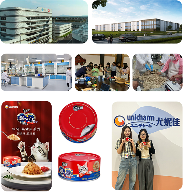 中国現地生産 生産工場 研究開発center 現地見学 原料マグロ手作り加工プロセス