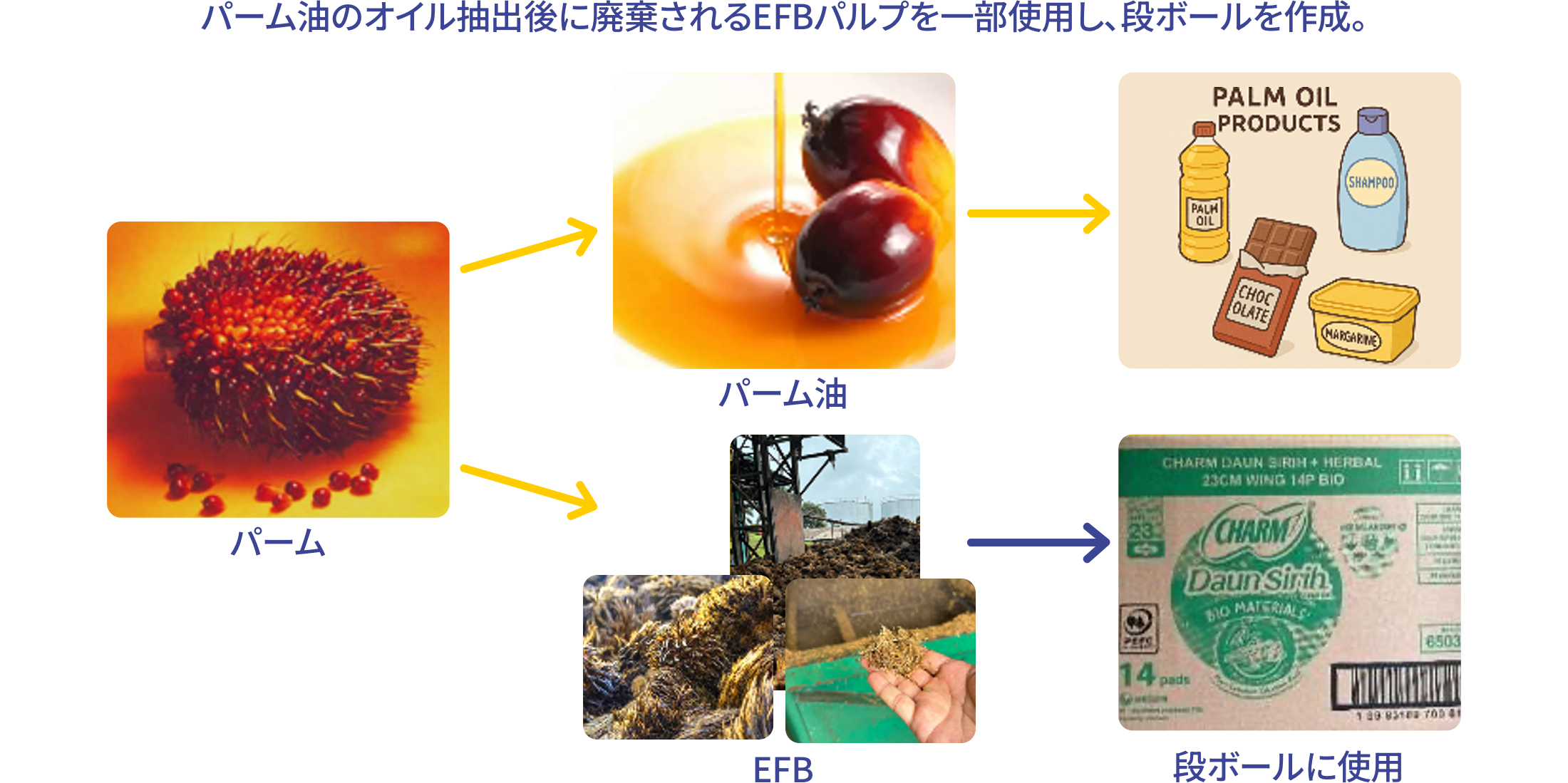 Palm OilのOil抽出後に廃棄されるEFB pulpを一部使用し、段ボールを作成。環境Day対象商品を中心に導入。
