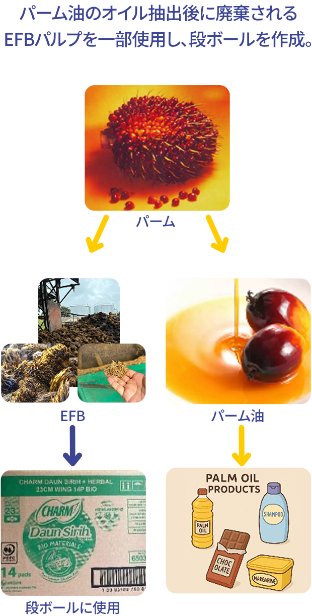 Palm OilのOil抽出後に廃棄されるEFB pulpを一部使用し、段ボールを作成。環境Day対象商品を中心に導入。